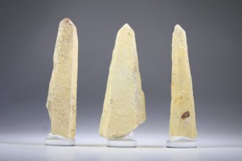 Golden Healer Sugar Blade laser