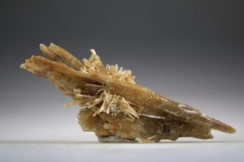 Seleniet Gouden uit Australië (Uitverkocht)