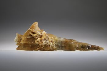 Seleniet Gouden uit Australië (Uitverkocht) - Afbeelding 5