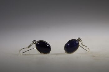 Ioliet Oorhangers - Afbeelding 2