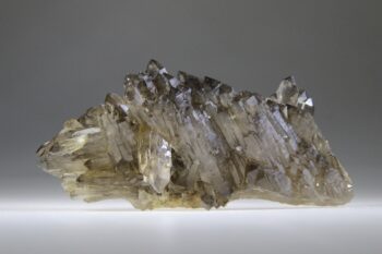 Kathedraal Rookkwarts dubbeleinder cluster (uitverkocht)