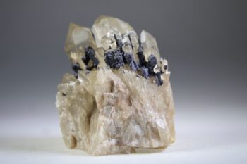 Kundalini Citrien - Afbeelding 6