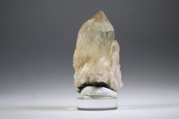 Kundalini Citrien - Afbeelding 2