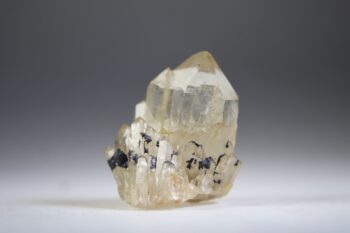 Kundalini Citrien - Afbeelding 5