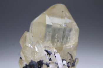 Kundalini Citrien - Afbeelding 2