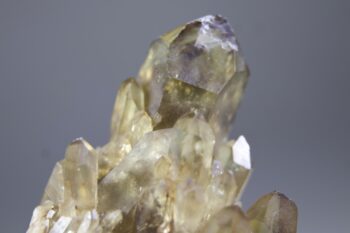 Kundalini Citrien - Afbeelding 3