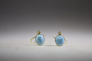 Larimar Oorhangers gold plated