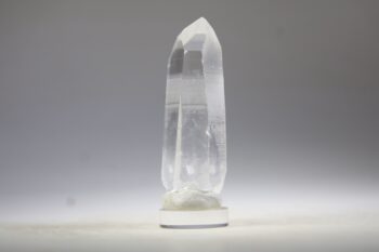 Lemurian - Afbeelding 3