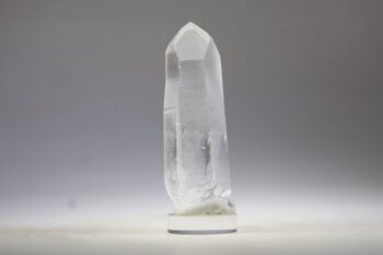 Lemurian - Afbeelding 5