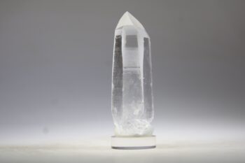 Lemurian - Afbeelding 2