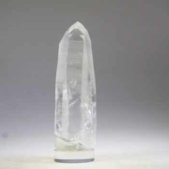 Lemurian