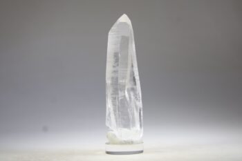 Lemurian - Afbeelding 3