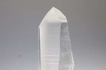 Lemurian - Afbeelding 4