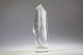 Lemurian - Afbeelding 5