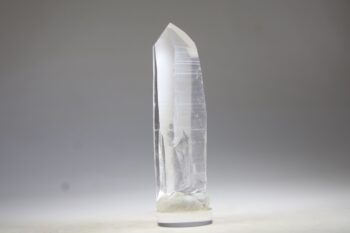 Lemurian - Afbeelding 2