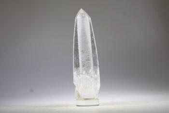 Lemurian - Afbeelding 3