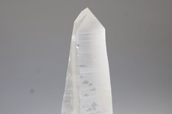Lemurian - Afbeelding 4
