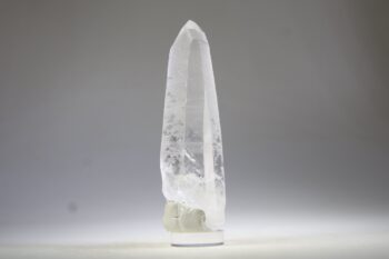 Lemurian - Afbeelding 5