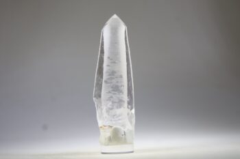 Lemurian - Afbeelding 2