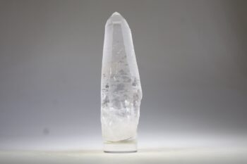 Lemurian