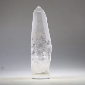 Lemurian