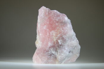 Luna Rose - Afbeelding 4