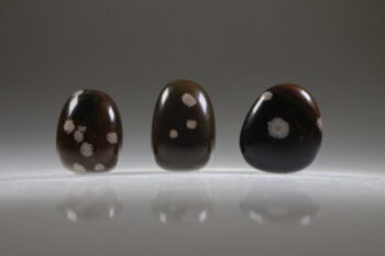 Mahonie Sneeuwvlok Obsidiaan