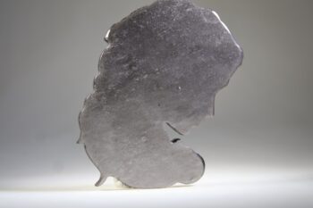Medusa van Zilver Obsidiaan - Afbeelding 4