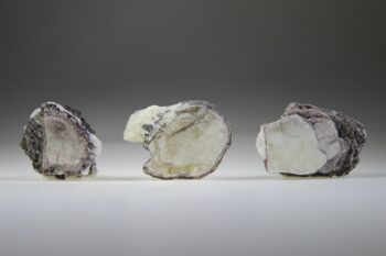 Lepidoliet met Muscoviet - Afbeelding 2