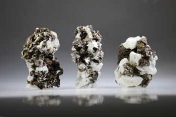 Muscoviet met Albiet (uitverkocht)