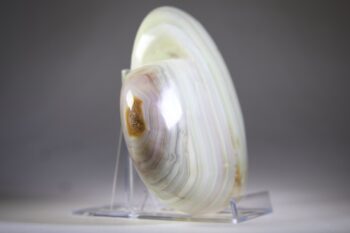 Onyx, Gebande uit Pakistan hart - Afbeelding 3
