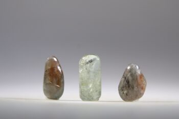 Peristeriet-Zonnesteen - Afbeelding 2