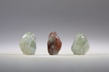 Peristeriet-Zonnesteen - Afbeelding 4