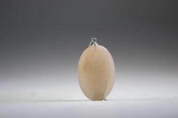 Perzik Maansteen Hanger - Afbeelding 4