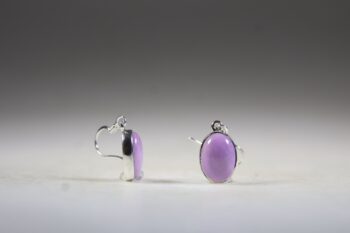 Phosphosideriet oorhangers - Afbeelding 3