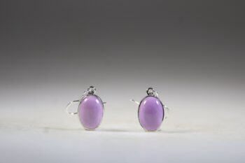 Phosphosideriet oorhangers