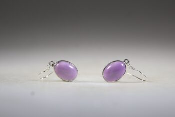 Phosphosideriet oorhangers - Afbeelding 2