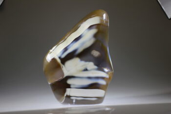 Pinguïn Agaat - Afbeelding 2