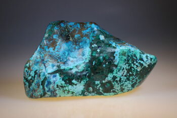 Quantum Quattro (uitverkocht) - Afbeelding 2