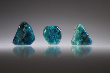 Quantum Quattro (uitverkocht)