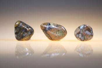 Que Sera - Afbeelding 2