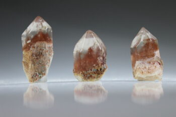 Fantoomkwarts Rood (uitverkocht)