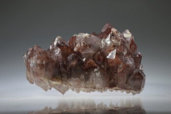 Fantoomkwarts Rood (uitverkocht) - Afbeelding 4