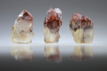 Fantoomkwarts Rood (uitverkocht) - Afbeelding 6