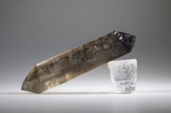 Rookkwarts dubbeleinder - Afbeelding 3