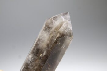 Rookkwarts dubbeleinder - Afbeelding 4