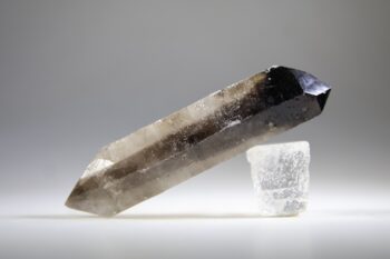 Rookkwarts dubbeleinder - Afbeelding 3