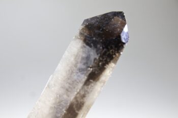 Rookkwarts dubbeleinder - Afbeelding 4