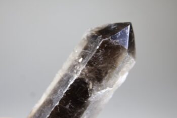 Rookkwarts dubbeleinder - Afbeelding 4