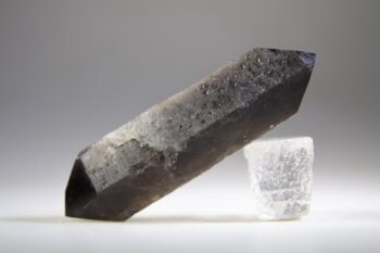 Rookkwarts dubbeleinder - Afbeelding 2